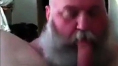 Bearded Dad Sucking Really Good