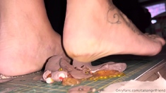 Amateur porn Gives Us Some Foot Fetish Aurora