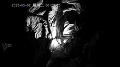 Hot cumshot for amateur fetish mature stockings slut