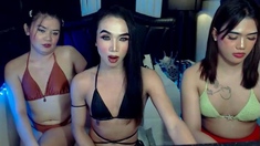 Latina Webcam Shemale Tranny Trap