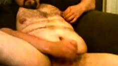 Chubby bear cumming