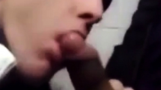 Guy sucks off friend in the public toilet stall