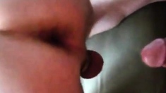Arab Bareback breeding in Toronto - rolem