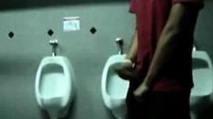 Bigcockflasher Wanking in public restroom