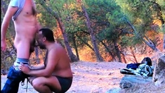 Amateur cruising in the woods